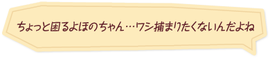 「ちょっと困るよほのちゃん…ワシ捕まりたくないんだよね」